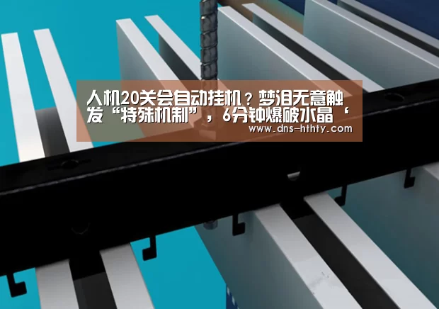 华体会体育